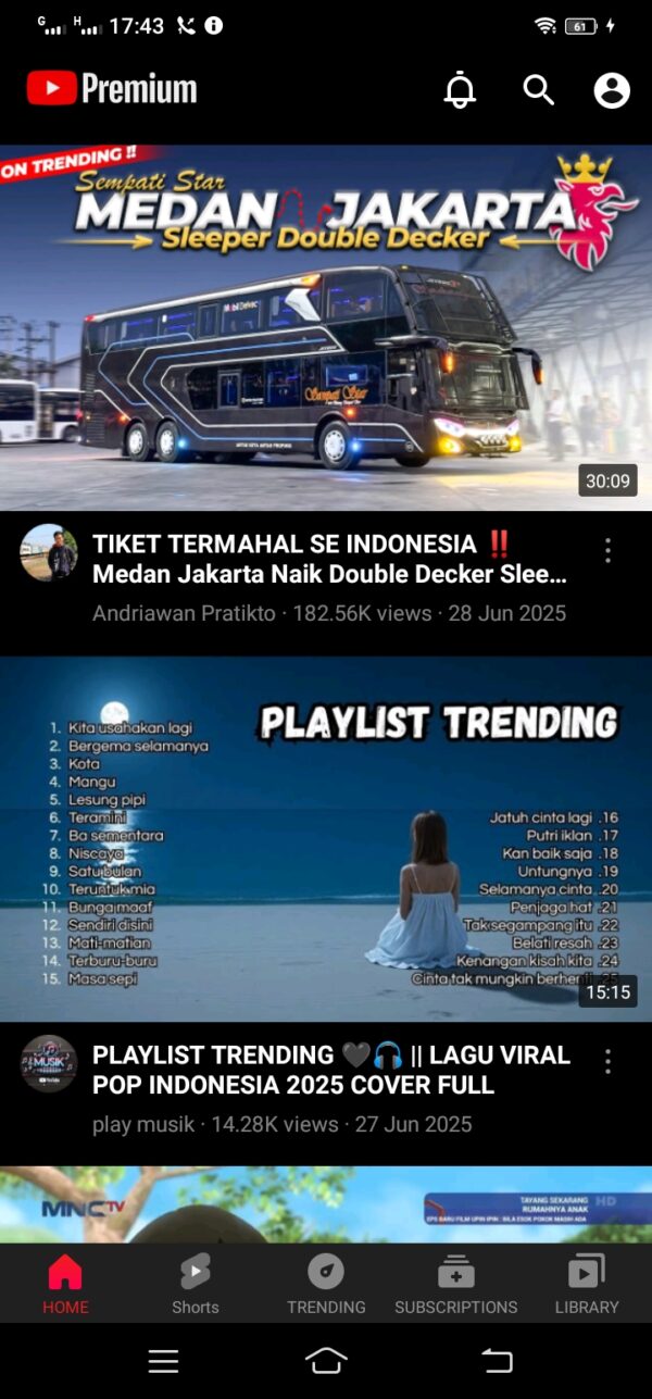 Youtube Premium - Image 2